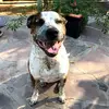 sami_stuart - @sami_stuart - TikTok
