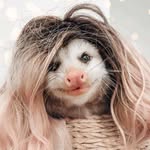 Sami Summers - @mamallama_dingdong - Instagram