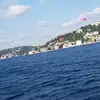 Sami Tas - @samitas3 - TikTok