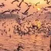 samiathalji - @samiathalji - TikTok
