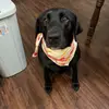 Sami_Thomas - @sami_thomas - TikTok