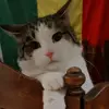 SamitouSi - @samitousi - TikTok