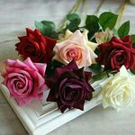 زویا - @sami__tranomm_71 - Instagram