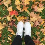 Sami Tran - Facebook