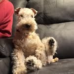 Sami & Tucker - @the2lakelands - Instagram