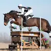 sdt.eventing - @sami_turner08 - TikTok