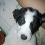 Sami Vargas - @samuelitovargas30 - Instagram