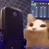 sami.wang.8 - @sami.wang.8 - TikTok