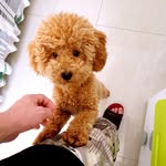 @samiwangggg - Instagram