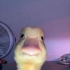 Sami Watts - @samiwatts06 - TikTok