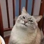 @sami_webster789 - Instagram