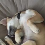 Sami Wolf - Facebook
