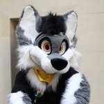 Sami - @samiwuff - Instagram