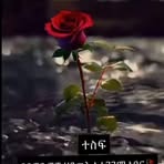 Sami Wu - Facebook