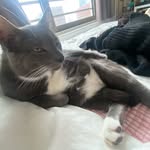 Sami Yiling Wu - @sami.wu_ - Instagram