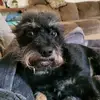 ahhhafzq6az - @samiyaffa - TikTok