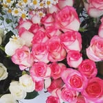 samiya_teshayeva - @samiya_teshayeva - Instagram