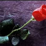 Samia Abbas - @samiaabbas556 - Instagram