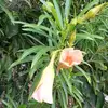 Alexander Samiar - @alexander.samiar - TikTok