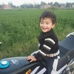 Samia Amer - @samiaamer5662 - Instagram