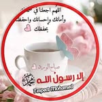 Samia Amer - @samia.amer.3766 - Instagram