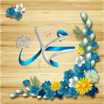 Samia Amer - @samiaamer33 - Instagram