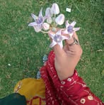 Samia Amin - Facebook