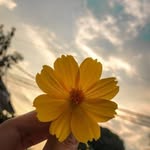 Samia Amin - @samiaamin1819 - Instagram