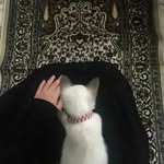 Samia_Amin- - @samia_amin5 - Instagram