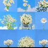 samia amin - @samia.amin942 - TikTok