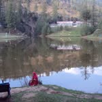 Samia Cheema - @samia.arif.9674 - Instagram