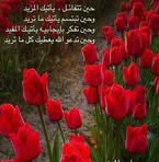 Samia Cohen - Facebook