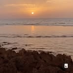 Samia Taari - Facebook
