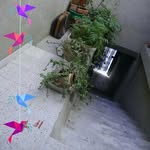 Samia Daoud - @samiadaoud8000 - Instagram