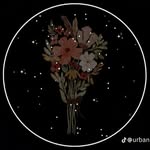 Samia Haider - @samia_haider_bukhari.9 - Instagram