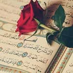 samia hussein mustafa - @samiahusseinmustafa - Instagram