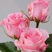 Samia Khalid - Facebook