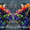Samia Khalid - @samiakhalid02 - TikTok