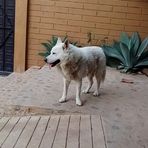 Samia Lopez - Facebook