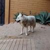 Samia Lopez - @samia.lopez5 - TikTok