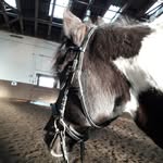 ~ Lea Sophie ~ - @samia_love2019 - Instagram