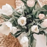 Samia Mansour - @samia.mansour.56863221 - Instagram