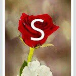 Samia Mansour - @samia.mansour.334 - Instagram