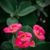 samianashoily - @samianashoily - TikTok