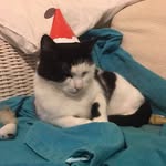 Samia Patel - @samia.patel.9 - Instagram