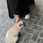 Hanane Ourbaâ - @samiaprince89 - Instagram