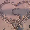 samia said - @samia.said23 - TikTok