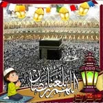 Samia Saif - @samia.saif.182 - Instagram