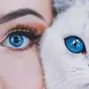 Samia Saif - @samiasaif6 - TikTok