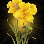 Samia Saif - @samia.saif.338 - Instagram